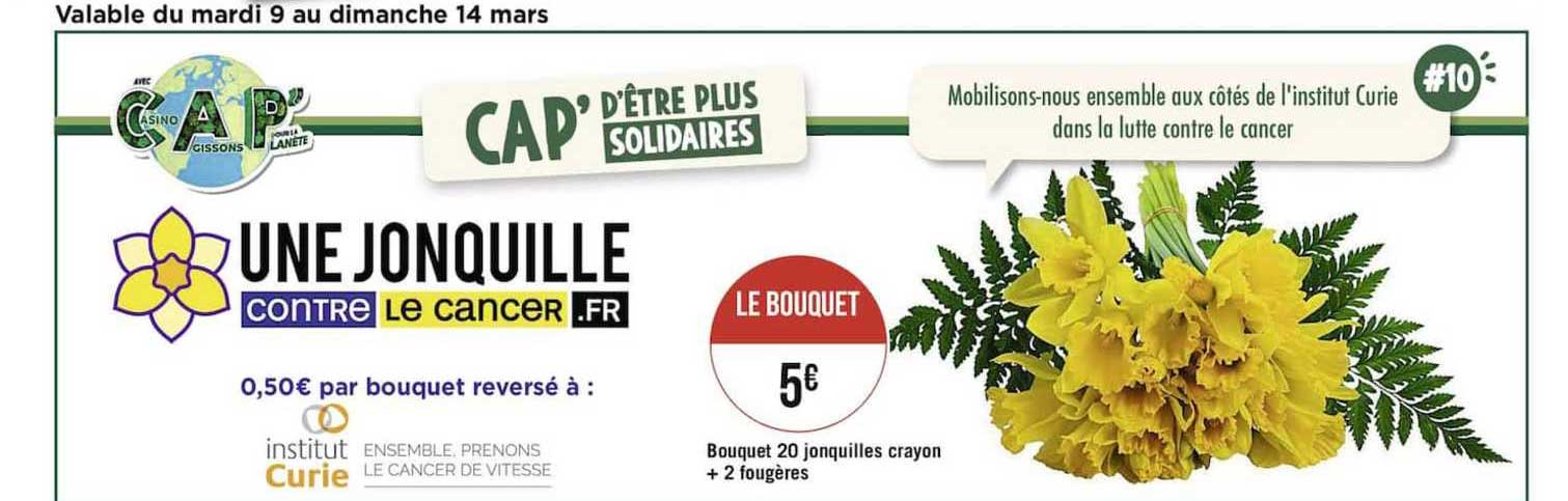 Bouquet 20 Jonquilles Crayon + 2 Fougères