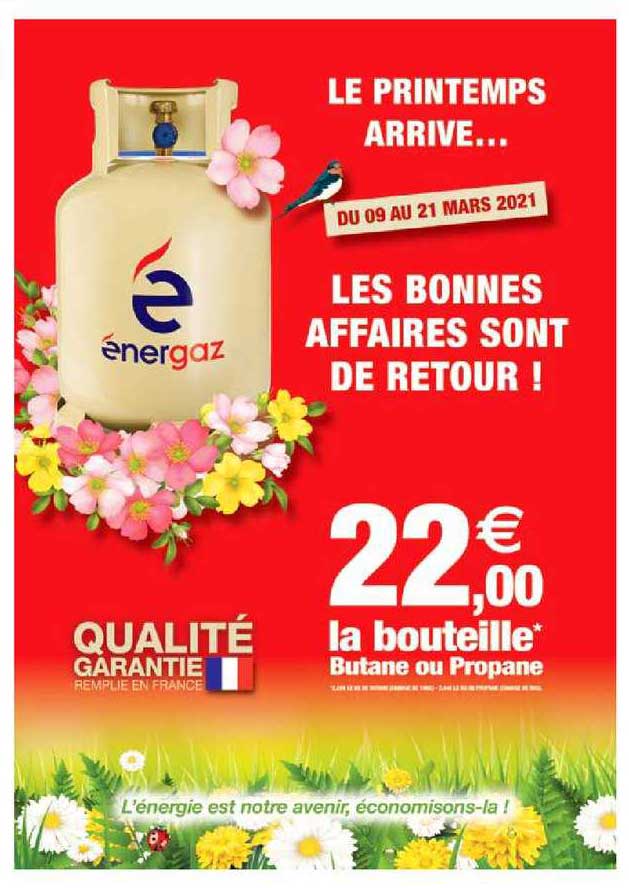 la bouteille butane ou propane
