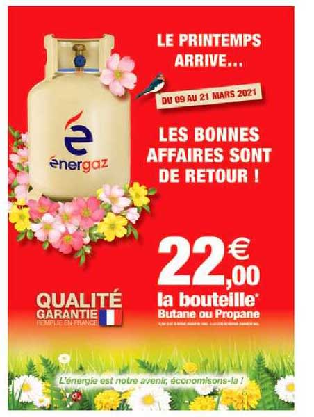 la bouteille butane ou propane