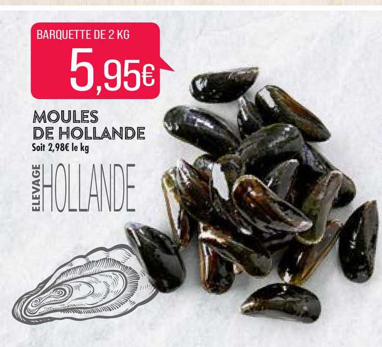 Moules De Hollande