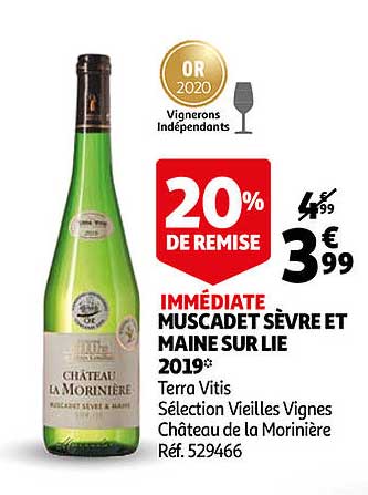 muscadet sèvre et maine sur lie 2019 terra vitis château de la morinière