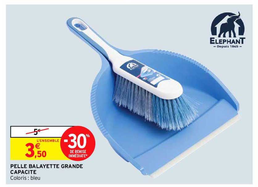pelle balayette grande capacité