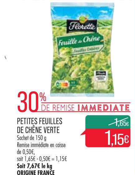 petites feuilles de chêne verte