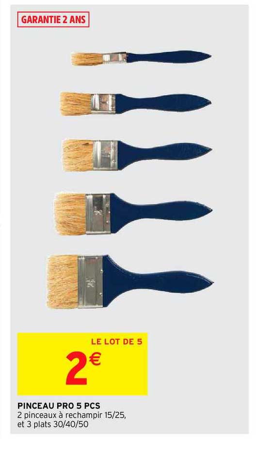 pinceau pro 5 pcs