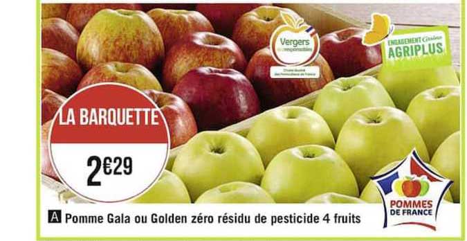 pomme gala ou golden zéro résidu de pesticide 4 fruits