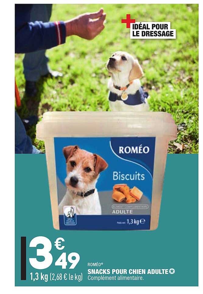 snacks pour chien adulte roméo