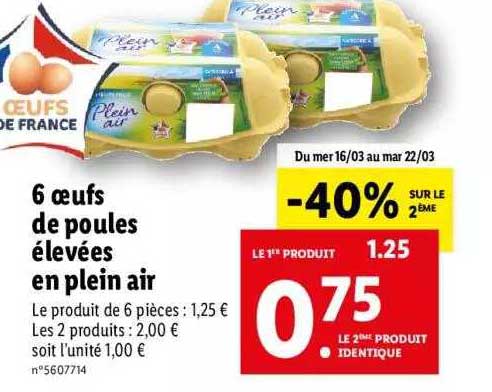 6 oeufs de poules élevées en plein air