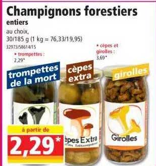 Champignons Forestiers Entier
