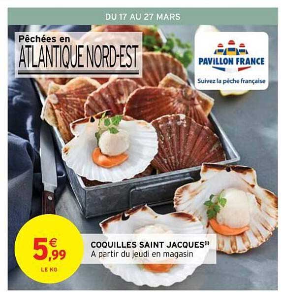 coquilles saint jacques