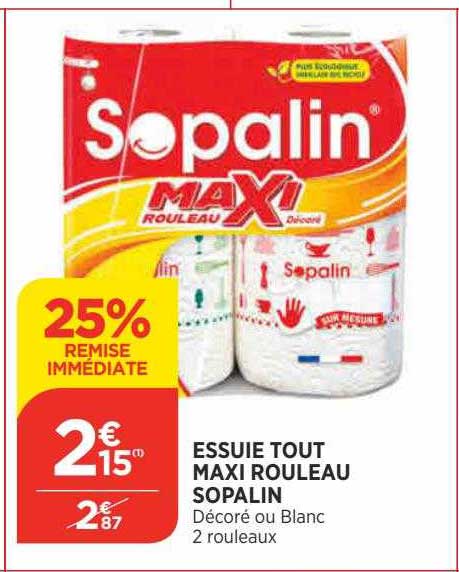 Essuie Tout Maxi Rouleau Sopalin