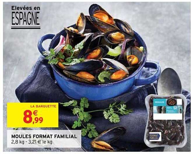 moules format familial