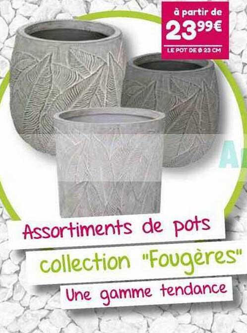 assortiments de pots collection "fougères"