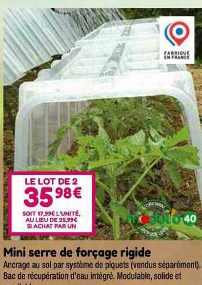 mini serre de forçage rigide