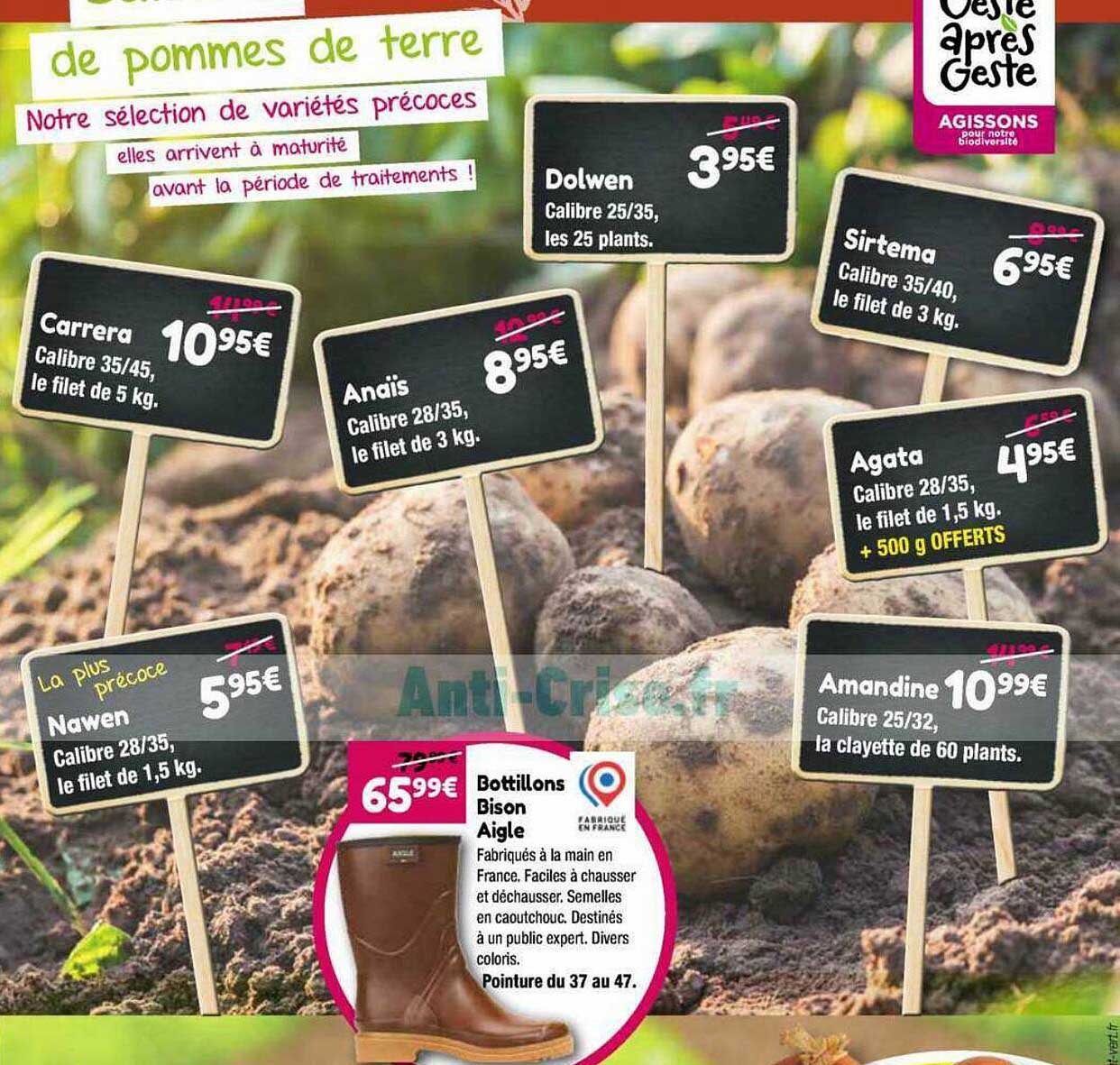 carrera, dolwen, anaïs, sirtema, agata, amandine, nawen, bottillons bison aigle