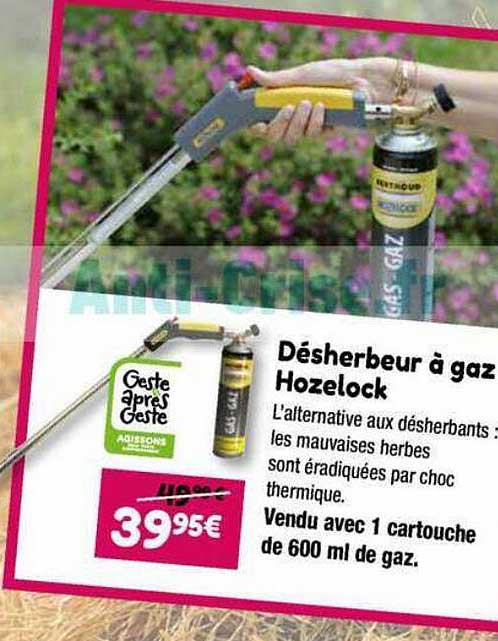 désherbeur à gaz hozelock
