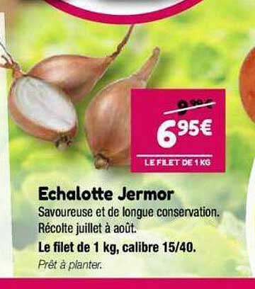 échalotte jermor