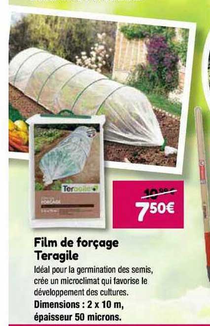 film de forçage teragile