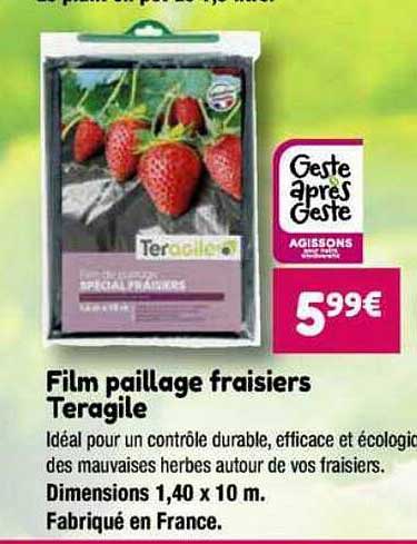 film paillage fraisiers teragile