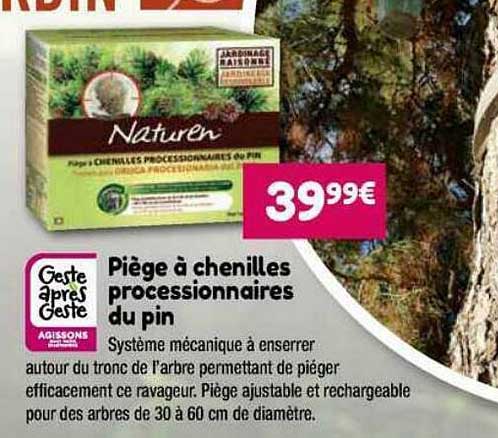 piège à chenilles processionnaires du pin