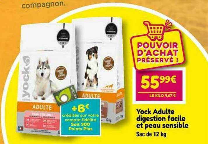 yock adulte digestion facile et peau sensible