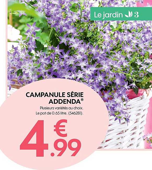 campanule série addenda