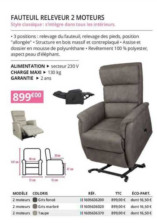 fauteuil releveur 2 moteurs