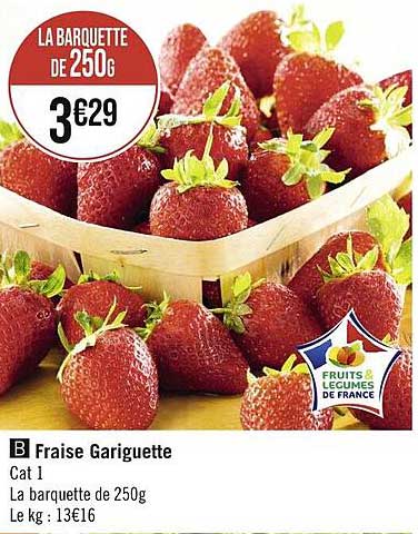 fraise gariguette