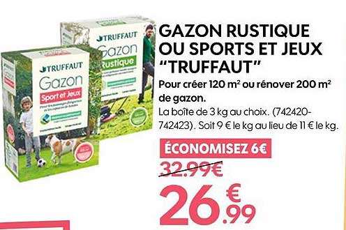 Gazon Rustique Ou Sports Et Jeux "truffaut"