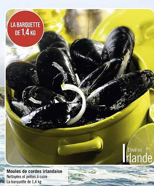 moules de cordes irlandaise