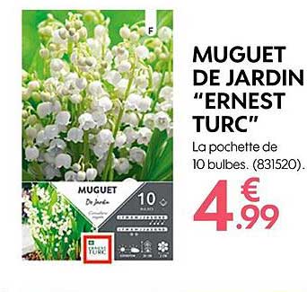 muguet de jardin "ernest turc"