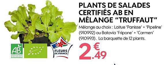plants de salades certifiés ab en mélange "truffaut"
