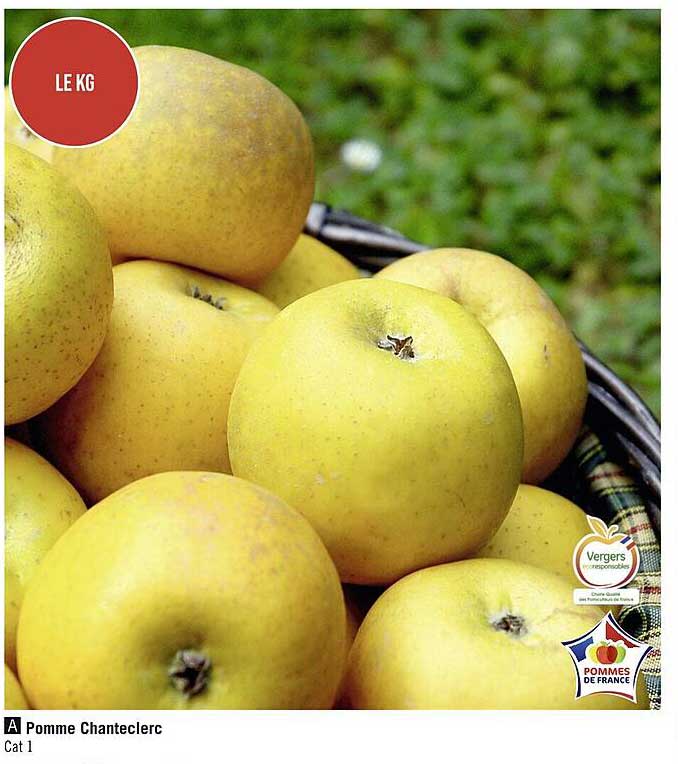 pomme chanteclerc