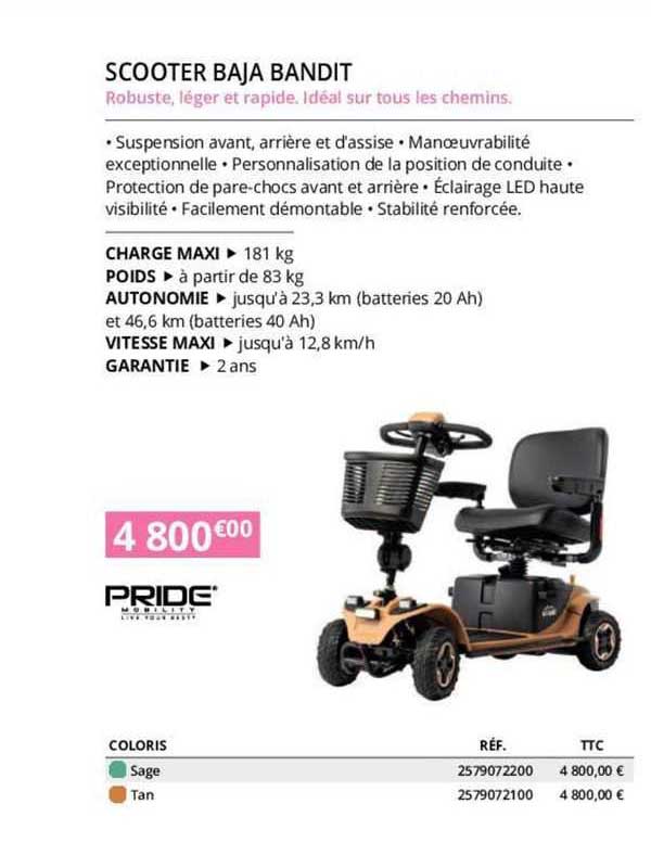 scooter baja bandit pride