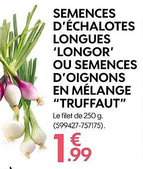 semences d'échalotes longues 'longor' ou semences d'oignons en mélange "truffaut"