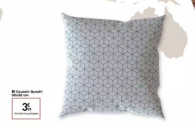 coussin quadri 30 x 30 cm