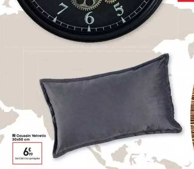 coussin velvetic 30 x 50 cm