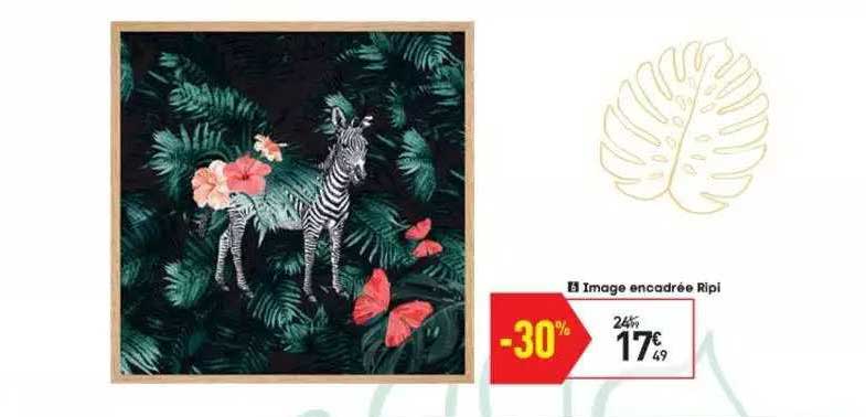 Image Encadrée Ripi