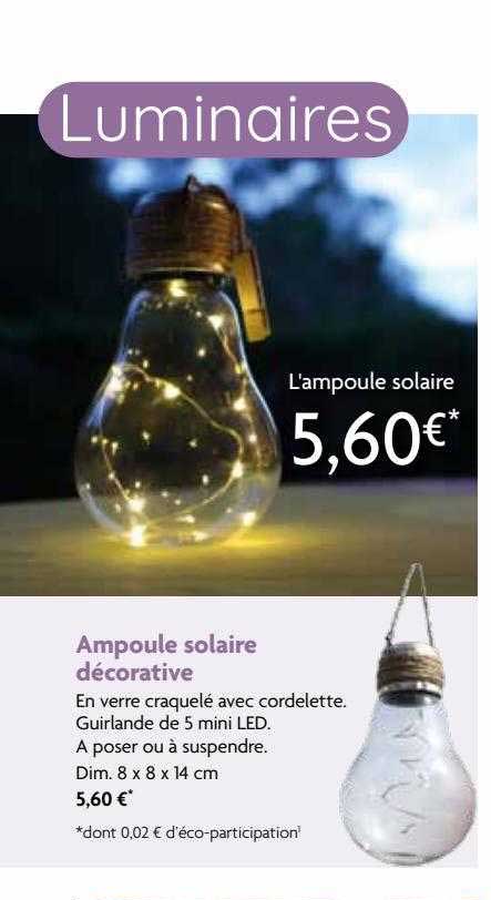 ampoule solaire décorative