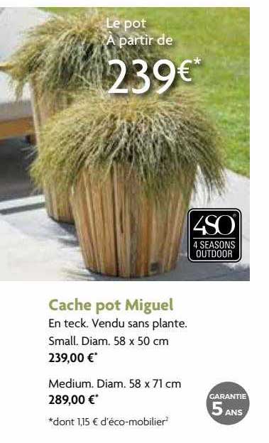 cache pot miguel