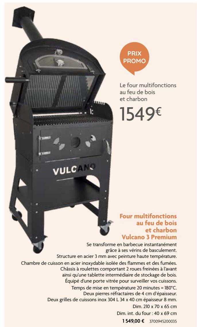 Four Multifonctions Au Feu De Bois Et Charbon Vulcano 3 Premium