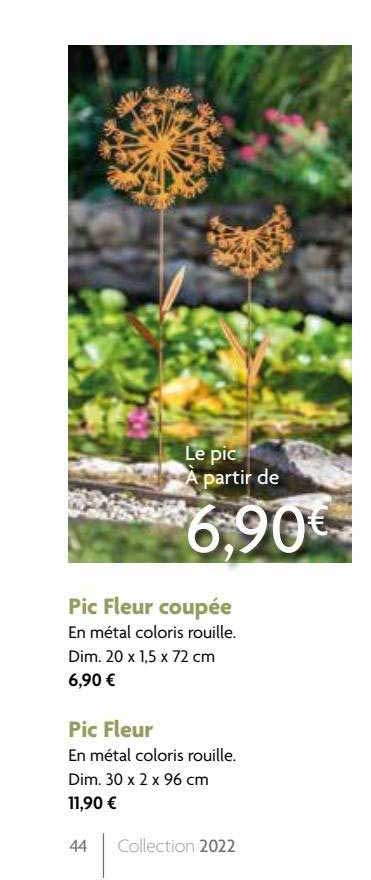 pic fleur coupée, pic fleur