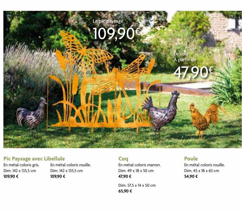 Pic Paysage Avec Libellule, Coq, Poule