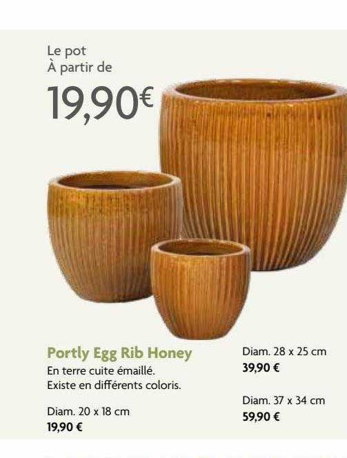 portly egg rib honey