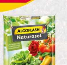 algoflash naturasol