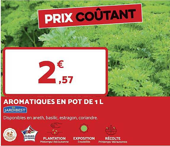aromatiques en pot d 1 l jardibest