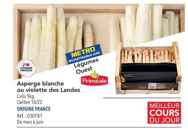 asperge blanche ou violette des landes priméale