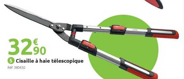 Cisaille à Haie Télescopique