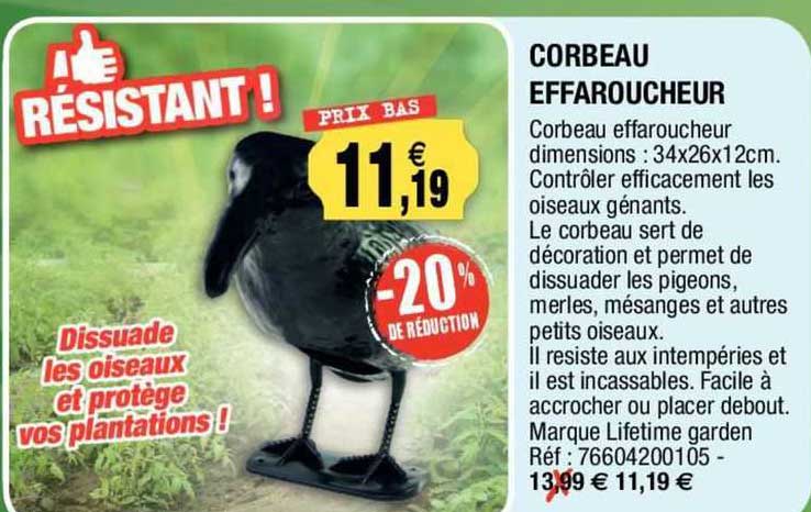 corbeau effaroucheur