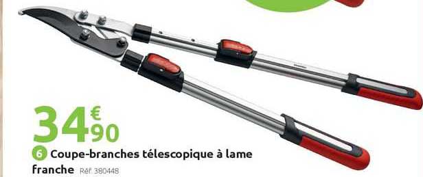 coupe-branches télescopique à lame franche