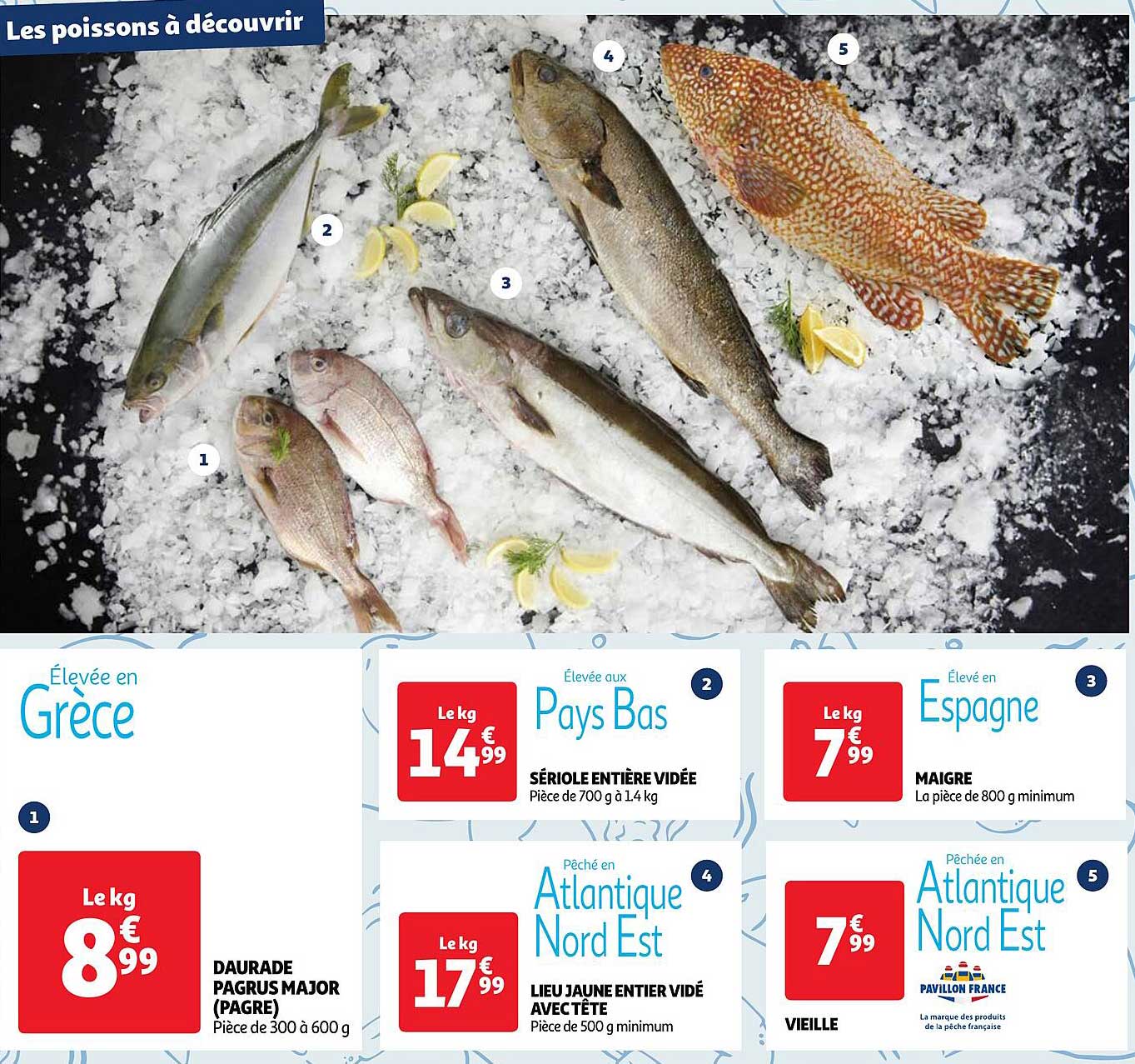 daurade pagrus major, sériole entière vidée, lieu jaune entier vidé avec tête, maigre, vieille